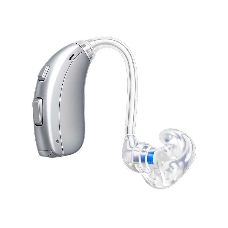 Behind the ear hearing aid with an earhook and earmould